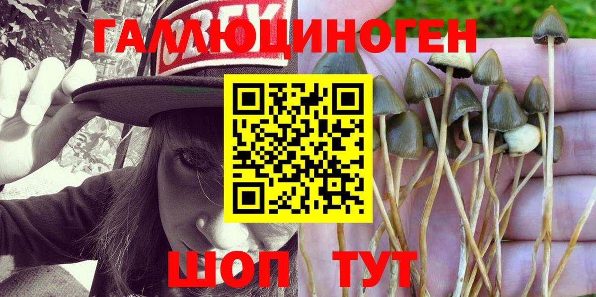 Псилоцибиновые грибы Magic Shrooms  Галлюциногенные грибы Psilocybine cubensis  Красный Сулин  Вход с VPN 